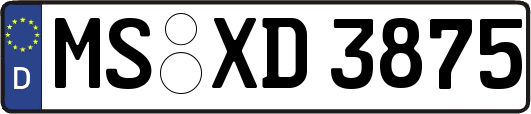 MS-XD3875