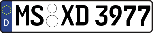 MS-XD3977