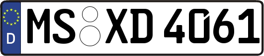 MS-XD4061