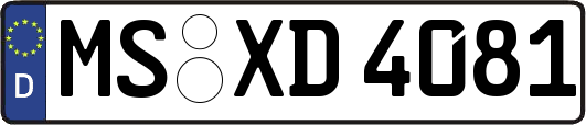 MS-XD4081
