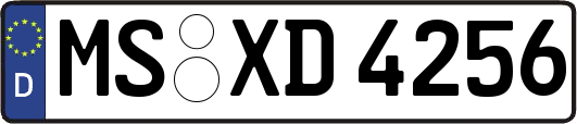 MS-XD4256