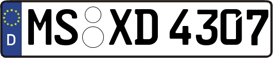 MS-XD4307