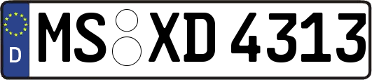 MS-XD4313