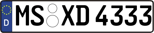 MS-XD4333