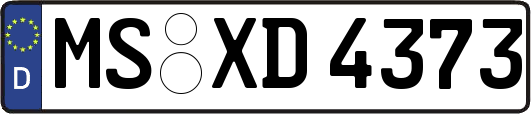 MS-XD4373