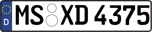 MS-XD4375