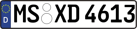 MS-XD4613
