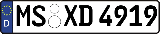 MS-XD4919