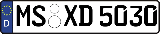 MS-XD5030