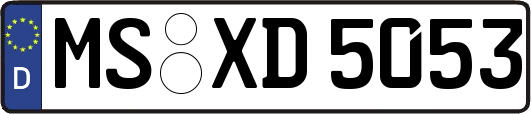MS-XD5053
