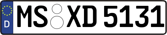 MS-XD5131