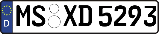 MS-XD5293