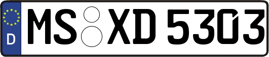 MS-XD5303