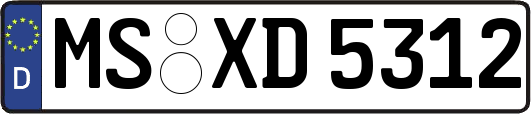 MS-XD5312