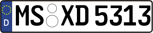 MS-XD5313