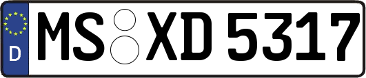 MS-XD5317