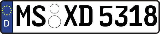 MS-XD5318