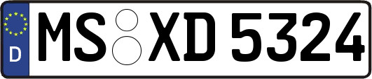 MS-XD5324