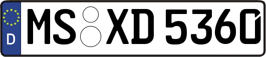 MS-XD5360