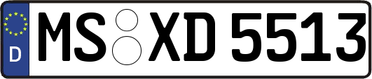 MS-XD5513
