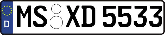 MS-XD5533