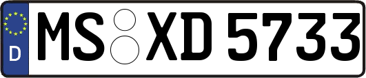 MS-XD5733