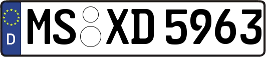MS-XD5963