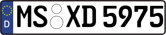 MS-XD5975