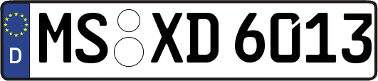 MS-XD6013