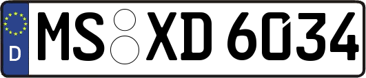 MS-XD6034