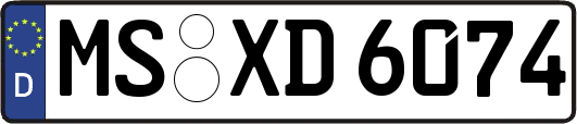 MS-XD6074