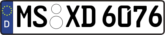 MS-XD6076
