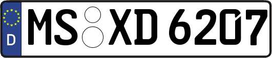 MS-XD6207