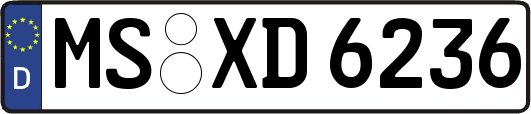MS-XD6236