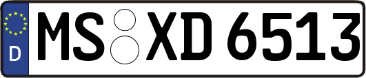 MS-XD6513