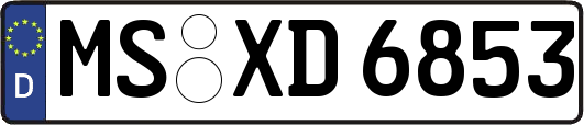 MS-XD6853