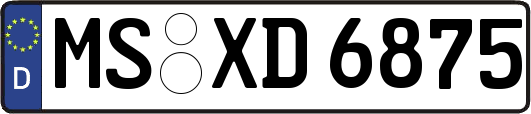 MS-XD6875