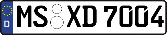 MS-XD7004