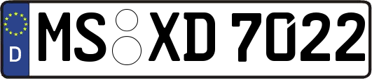 MS-XD7022