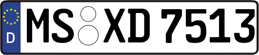 MS-XD7513