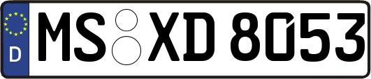 MS-XD8053