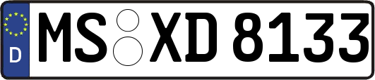 MS-XD8133