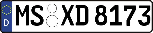 MS-XD8173