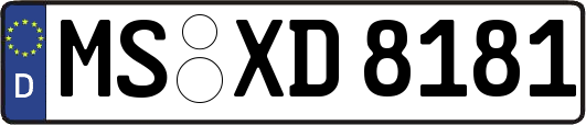MS-XD8181