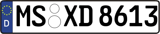 MS-XD8613