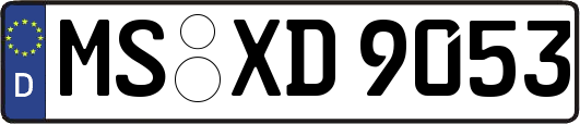 MS-XD9053