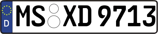 MS-XD9713