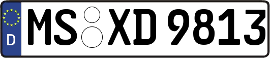 MS-XD9813