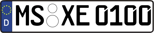 MS-XE0100