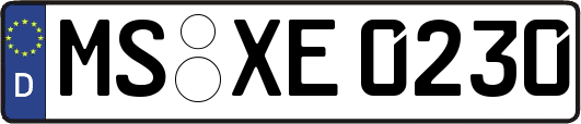 MS-XE0230